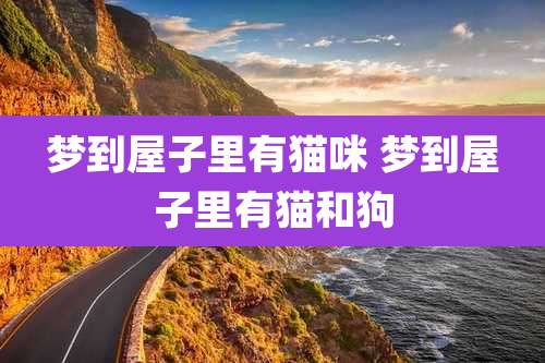 梦到屋子里有猫咪 梦到屋子里有猫和狗