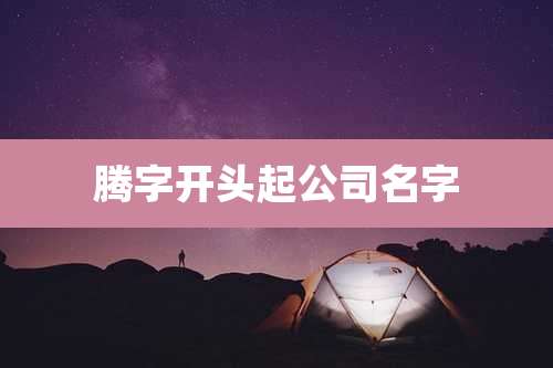 腾字开头起公司名字
