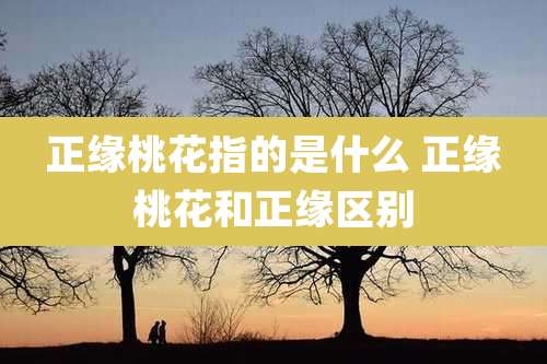 正缘桃花指的是什么 正缘桃花和正缘区别
