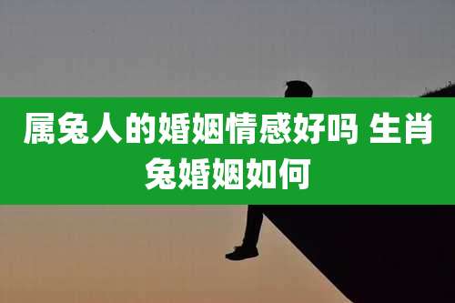 属兔人的婚姻情感好吗 生肖兔婚姻如何