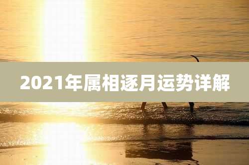 2021年属相逐月运势详解