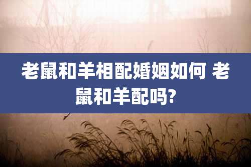 老鼠和羊相配婚姻如何 老鼠和羊配吗?