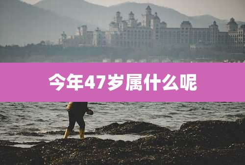 今年47岁属什么呢