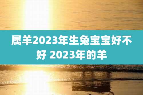 属羊2023年生兔宝宝好不好 2023年的羊