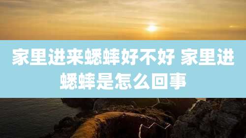 家里进来蟋蟀好不好 家里进蟋蟀是怎么回事