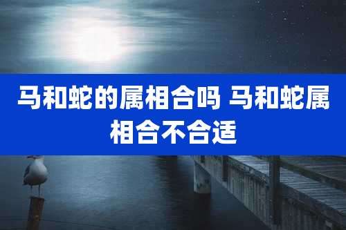 马和蛇的属相合吗 马和蛇属相合不合适