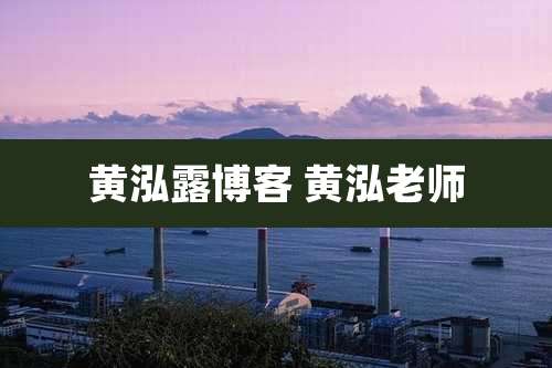 黄泓露博客 黄泓老师