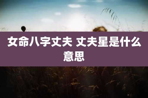 女命八字丈夫 丈夫星是什么意思