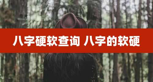 八字硬软查询 八字的软硬