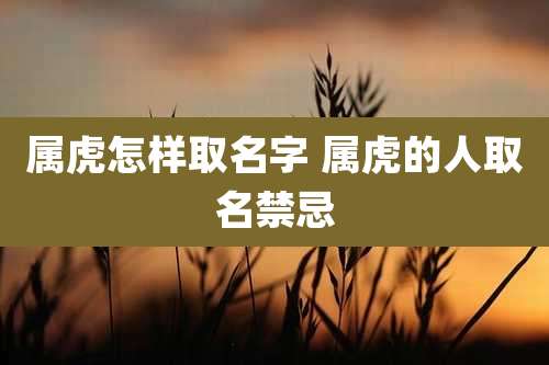 属虎怎样取名字 属虎的人取名禁忌