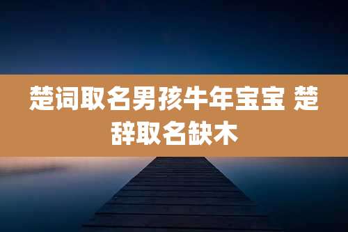 楚词取名男孩牛年宝宝 楚辞取名缺木