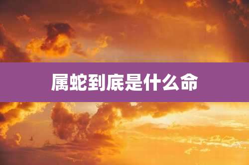 属蛇到底是什么命