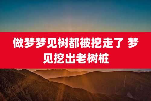 做梦梦见树都被挖走了 梦见挖出老树桩