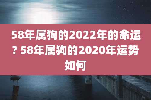 58年属狗的2022年的命运? 58年属狗的2020年运势如何