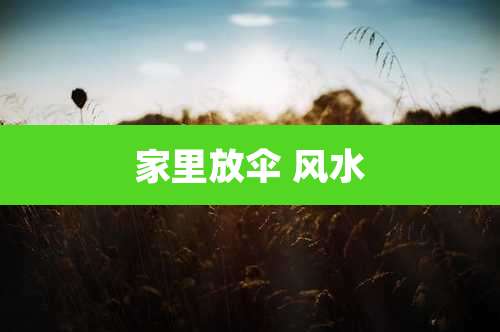 家里放伞 风水