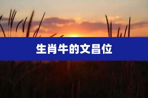 生肖牛的文昌位