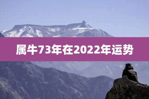 属牛73年在2022年运势