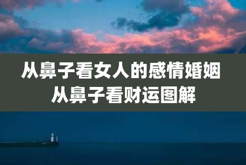 从鼻子看女人的感情婚姻 从鼻子看财运图解