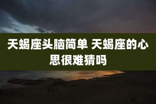 天蝎座头脑简单 天蝎座的心思很难猜吗