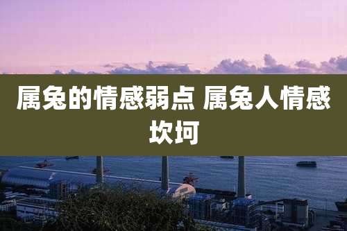 属兔的情感弱点 属兔人情感坎坷