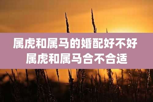 属虎和属马的婚配好不好 属虎和属马合不合适