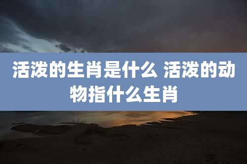 活泼的生肖是什么 活泼的动物指什么生肖