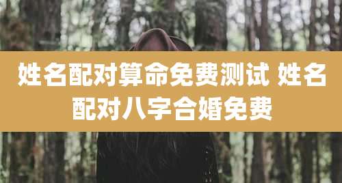 姓名配对算命免费测试 姓名配对八字合婚免费