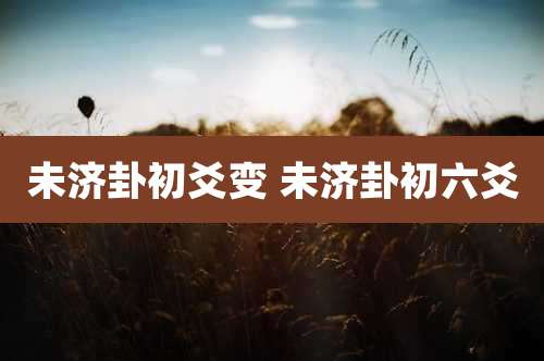 未济卦初爻变 未济卦初六爻