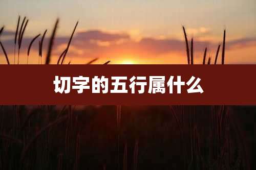切字的五行属什么