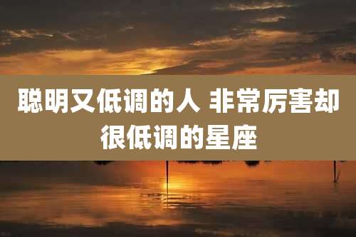 聪明又低调的人 非常厉害却很低调的星座