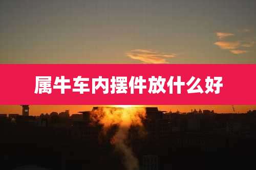 属牛车内摆件放什么好