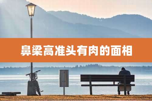 鼻梁高准头有肉的面相