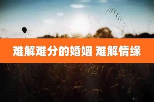 难解难分的婚姻 难解情缘