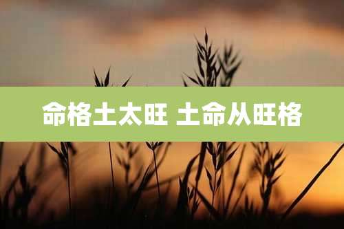命格土太旺 土命从旺格