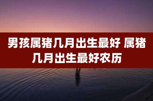 男孩属猪几月出生最好 属猪几月出生最好农历