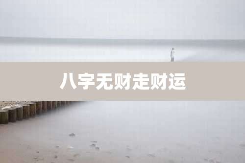 八字无财走财运