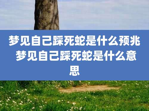 梦见自己踩死蛇是什么预兆 梦见自己踩死蛇是什么意思