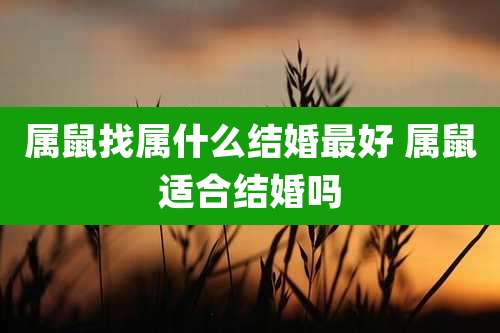 属鼠找属什么结婚最好 属鼠适合结婚吗