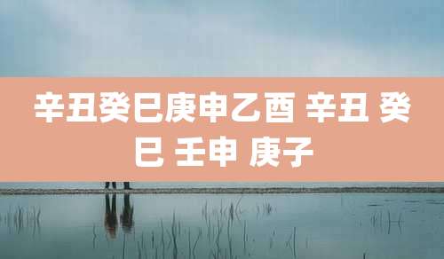 辛丑癸巳庚申乙酉 辛丑 癸巳 壬申 庚子