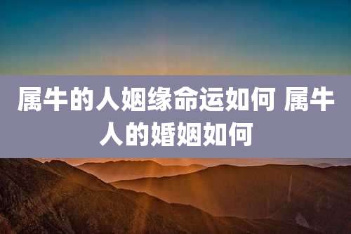 属牛的人姻缘命运如何 属牛人的婚姻如何