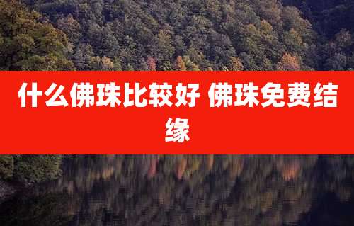 什么佛珠比较好 佛珠免费结缘