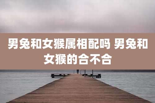 男兔和女猴属相配吗 男兔和女猴的合不合