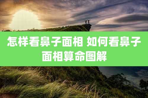 怎样看鼻子面相 如何看鼻子面相算命图解