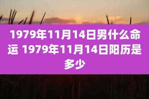 1979年11月14日男什么命运 1979年11月14日阳历是多少