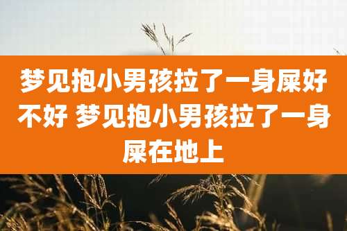 梦见抱小男孩拉了一身屎好不好 梦见抱小男孩拉了一身屎在地上