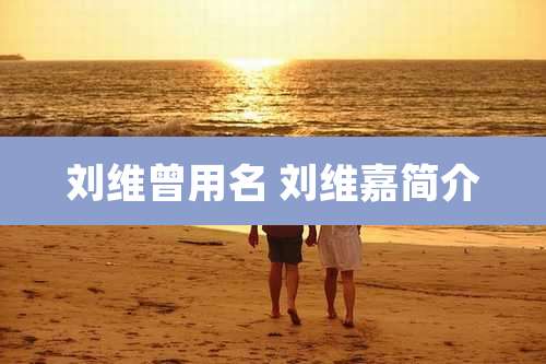 刘维曾用名 刘维嘉简介