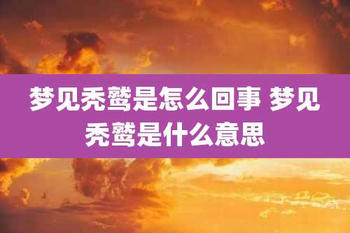 梦见秃鹫是怎么回事 梦见秃鹫是什么意思