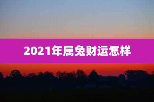 2021年属兔财运怎样