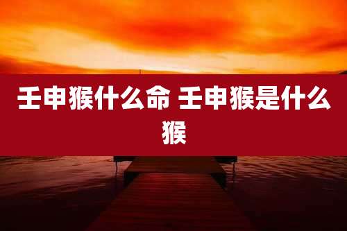 壬申猴什么命 壬申猴是什么猴