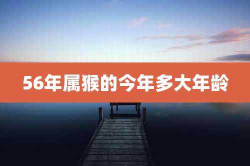 56年属猴的今年多大年龄